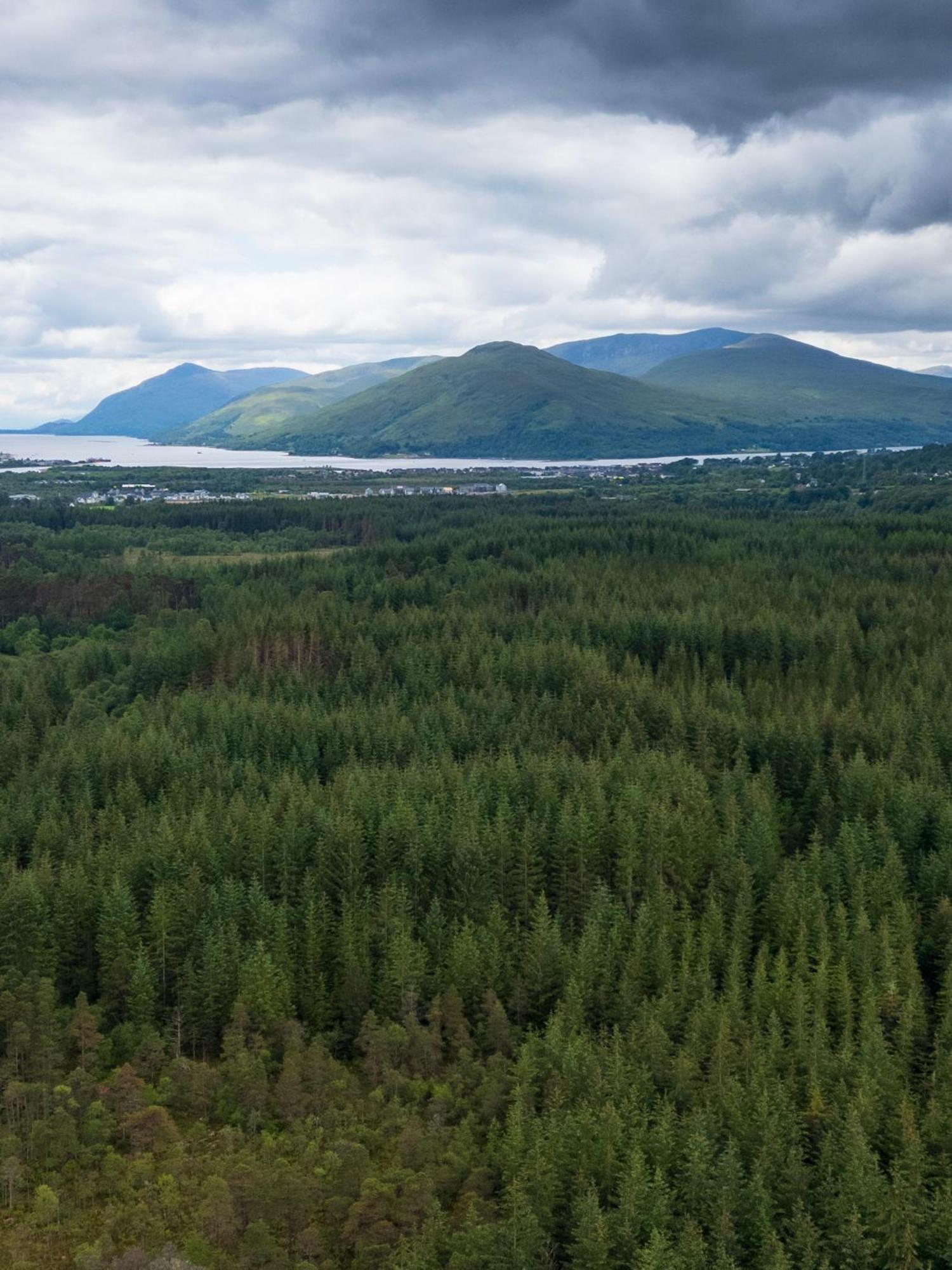 Villa Kingswood Luxury Pods à Fort William Extérieur photo