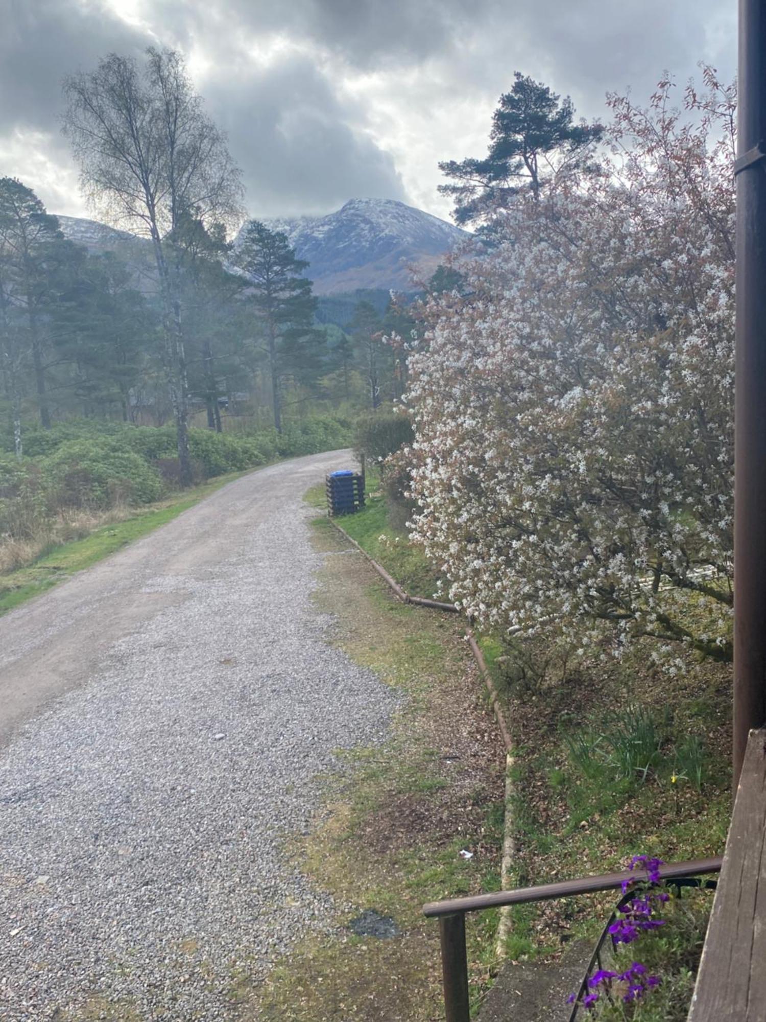Kingswood Lodges Fort William Extérieur photo